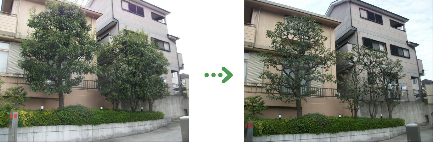 植栽管理の施工前と施工後