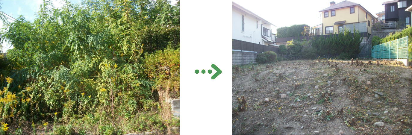 植栽管理の施工前と施工後